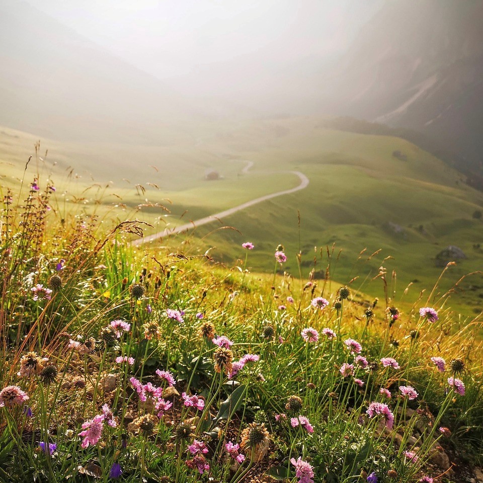 Blühende Bergwiese mit weitem Blick über alpine Landschaft – idyllische Naturkulisse für eine exklusive Yoga-Reise und ein luxuriöses Yoga-Retreat in den Bergen, ideal für Erholung, Achtsamkeit und innere Balance.